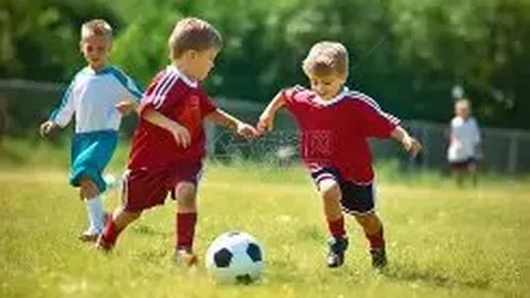 金贝娱乐 产品 021444 t40