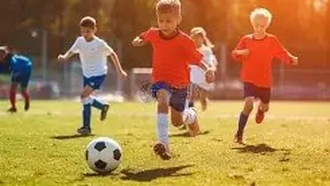 金贝娱乐 产品 021526 qmt